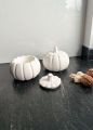 Home decorative Pumpkin storage or vase as per your use. 