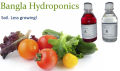 Liquid Plant Food For Soilless Growing & Foliar Feeding. {Not for aquarium}.