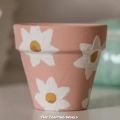 painted clay plant pot. 