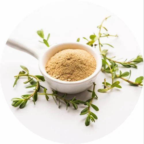 Premium%20Masoor%20Dal%20Powder%20100gm%E2%80%94%20100%25%20Pure%20&%20Natural%20%E2%80%94%20For%20Face%20Pack,%20Skin%20Brightening%20&%20Anti-Acne%20-%20Image%203