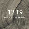 Eazicolor 12.19 Super Ash Ice Blonde Eazicolor Professional Permanent Hair Colour With Developer. 