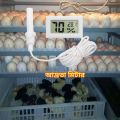 Egg Incubator Laboratory Aquarium Farn Room Greenhouse mini digital temperature and moisture meter hydrometer for baby room - Digital LCD Mini Thermometer Hygrometer - Humility meter. 