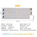 50W LED Grow Light Chip 220V Full Spectrum Plant Smart IC No Driver Chips DIY Growth Flood Lamps Tent Phyto Growing Box Lighting. 