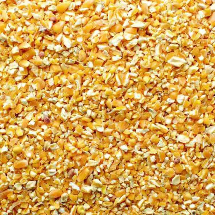 crushed%20corn%20500g(makai%20ka%20dalya)%20%20for%20Birds,%20Budgies,%20Lovebirds%20&%20Parrots(Dry&organic)%20-%20Image%202