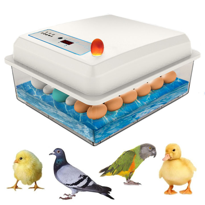 20 Eggs Incubator Set Fully Automatic Household Brooder Farm Chicken