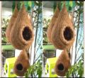 One Hanging Bird Nest with two birds & plant for home and garden decor. Babui Pakhir Bas....