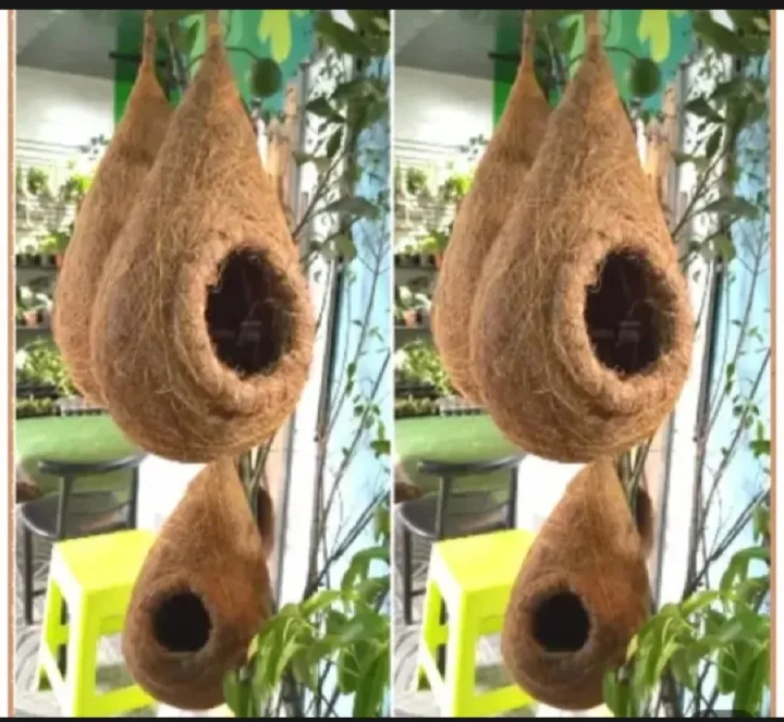 One%20Hanging%20Bird%20Nest%20with%20two%20birds%20&%20plant%20for%20home%20and%20garden%20decor.%20Babui%20Pakhir%20Bas...%20-%20Image%203