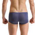 Men's Sexy Sheer U Convex Ice Silk Boxer Men Seamless Ultra-Thin Breathable Boxer Shorts Soft Comfortable Transparent Panties. 