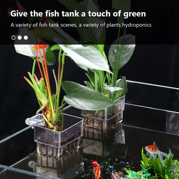 Aquarium%20Plant%20Basket%20Transparent%20Fish%20Tank%20Hanging%20Decorations%20Pot%20Aquatic%20Plants%20Holder%20Aquatic%20Plant%20Cup%20Fish%20Tank%20Planter%20-%20Image%204