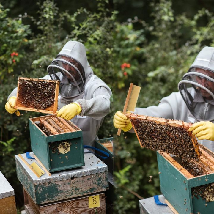 Beekeeping%20Tools%20Wood%20Honey%20Brush%20Wasp%20Bee%20Sweep%20Beekeeping%20Equipment%20Horse%20Tail%20Hair%20New%20Bee%20Brush%20For%20Cleaning%20Apiculture%20-%20Image%205