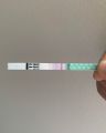 Ovulation test kit,  fertility days check,Ovulation Urine Test Strips LH Tests Strips kit Response Ovulation 99% Accuracy LH Fertility Predictor Kit for Women Trying to Conceive -Accurate Home Testing for Pregnancy Planning

Fast & Reliable Result. 