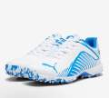 PUMA EVOSPEED 22 TURF CRICKET SHOE. 