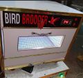 Bird Brooder Best for  Parrot 20 To 25 Automatic temperature with heat and cool system. 