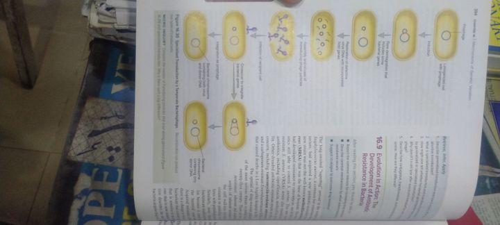 Prescott's%20Microbiology%20-%20Image%204