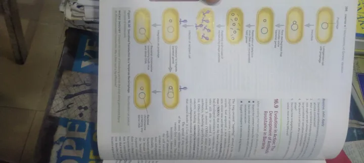Prescott's%20Microbiology%20-%20Image%204