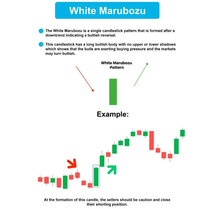 Two%20Books%20Set%20-%20Best%20Candlestick%20Chart%20Pattern%20Trading%20Strategies%20Book%20-%20Technical%20Analysis%20Of%20The%20Financial%20Markets%20-%20Combo%20Deal%20-%20Crypto%20Forex%20And%20Stock%20Market%20-%20Technical%20Analysis%20For%20Dummies%20-%20Image%204