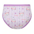 4-Piece Cute Girls Panties Premium Comfortable Cotton Baby Girls Briefs Aged 2-9 Pretty Kitty Pattern Children Underwear Bottoms. 