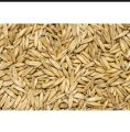 Juwi phunch seeds 1kg  for birds or other animals. 
