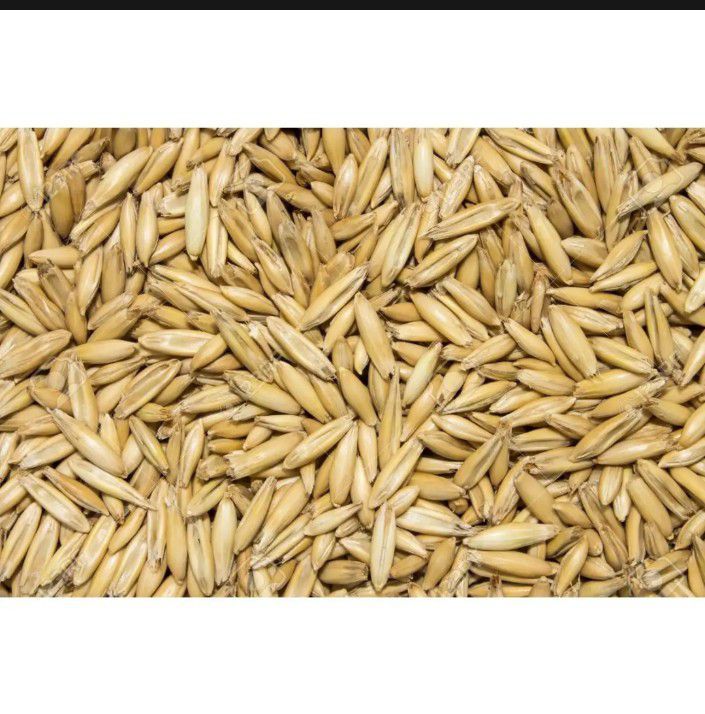Juwi phunch seeds 1kg  for birds or other animals