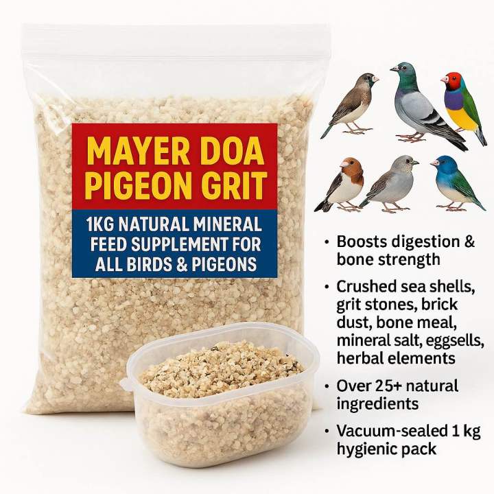 Pigeon Grit – 1KG Natural Mineral Feed Supplement for All Birds ...