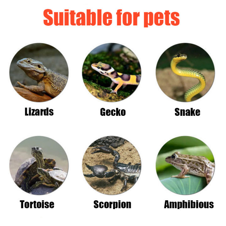 Reptile%20Heating%20Pad%20Spider%20Scorpion%20Palace%20Guarding%20Pet%20Snake%20Lizard%20Hedgehog%20Hamster%20Crawling%20Pet%20Insulation%20Pad%20-%20Image%205