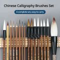 6/9/12/16Pcs Chinese Calligraphy Brushes Set with Roll-up Bamboo Brush Holder Sumi Painting Writing Kanji Art Watercolor Brush. 