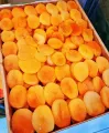 fresh jalley khubani  1kg  soft Apricot. 
