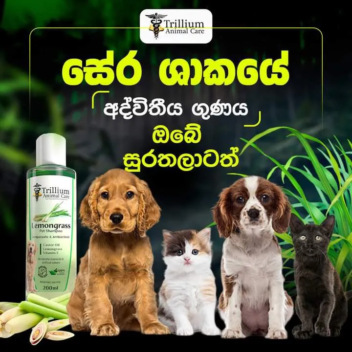 Trillium%20Lemon%20Grass%20Pet%20Shampoo%20-%20Image%202