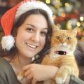 4 PCS Cute Glow Cat Collars Breakaway with Bell & Moons Stars,Kitten Collar for Girl Boy Cats Puppy, Cat Accessories. 
