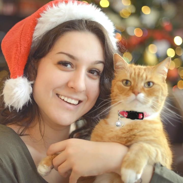4%20PCS%20Cute%20Glow%20Cat%20Collars%20Breakaway%20with%20Bell%20&%20Moons%20Stars,Kitten%20Collar%20for%20Girl%20Boy%20Cats%20Puppy,%20Cat%20Accessories%20-%20Image%205