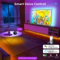 Tuya Smartlife WiFi LED Neon Light Strip Tape Work with Alexa  Home 24V LED Strip RGB Flexible Strip with Adhesive. 