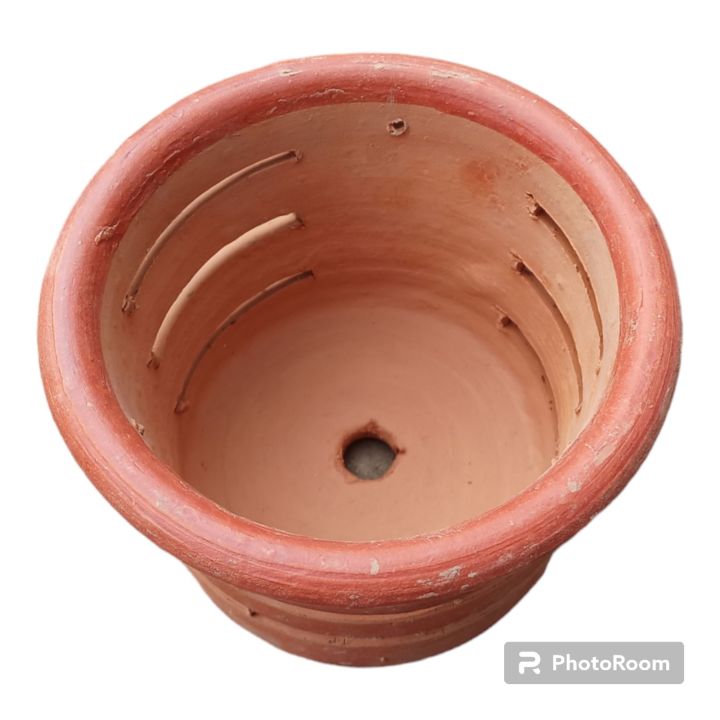 Matir%20Flower%20Tob%20_%20Matit%20Tub%20_%20Orchid%20Matir%20Tob%20-%20Image%202