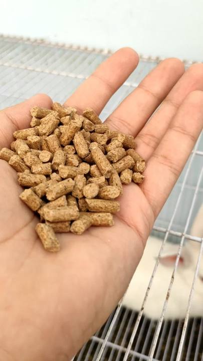 Wanda Rabbit Hopsch Wanda for Rabbits | Hi Tech 44 Wanda (3-KG) | Rabbit Food all Ages ...