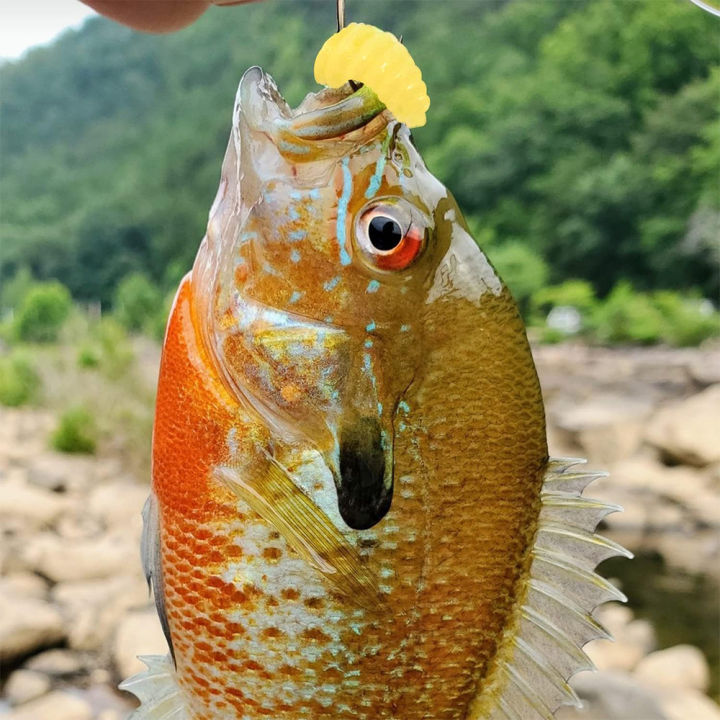 100Pcs/Bag%202cm%200.3g%20Bread%20Worm%20Silicone%20Artificial%20Baits%20Maggot%20Grub%20Soft%20Fishing%20Lure%20Hooks%20Biomimetic%20Smell%20Worms%20Glow%20Shrimps%20-%20Image%204