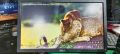 19 inchi dell monitor,  official used product. 