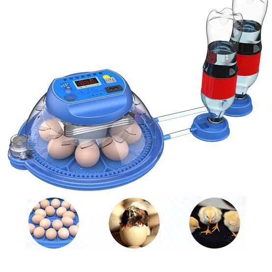 8 Eggs Intelligent Fully Automatic incubator ac dc 40w