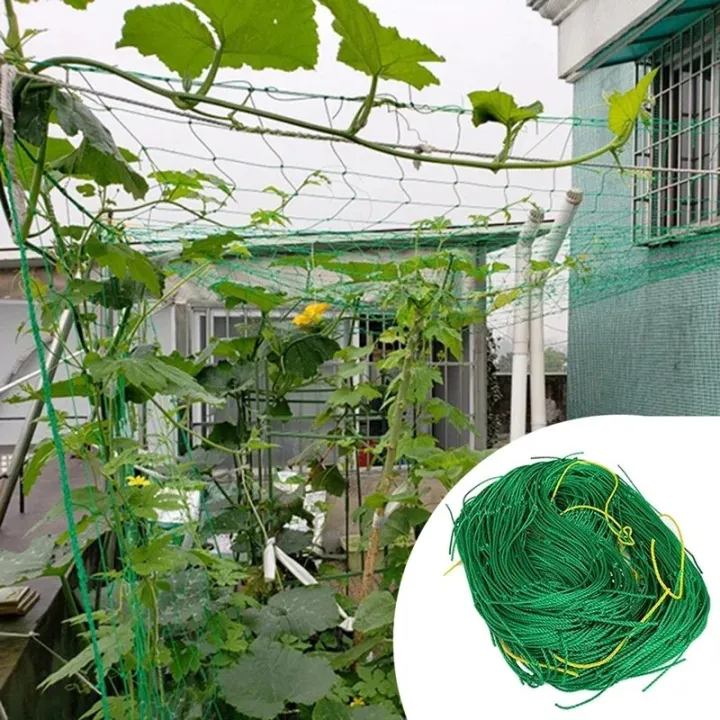 High-quality%20Garden%20Climbing%20Netting%20Strong%20Nylon%20Plant%20Trellis%20for%20Climbing%20Plants%20Loofah%20Morning%20Glory%20Flowers%20Cucumber%20Vine%20-%20Image%203