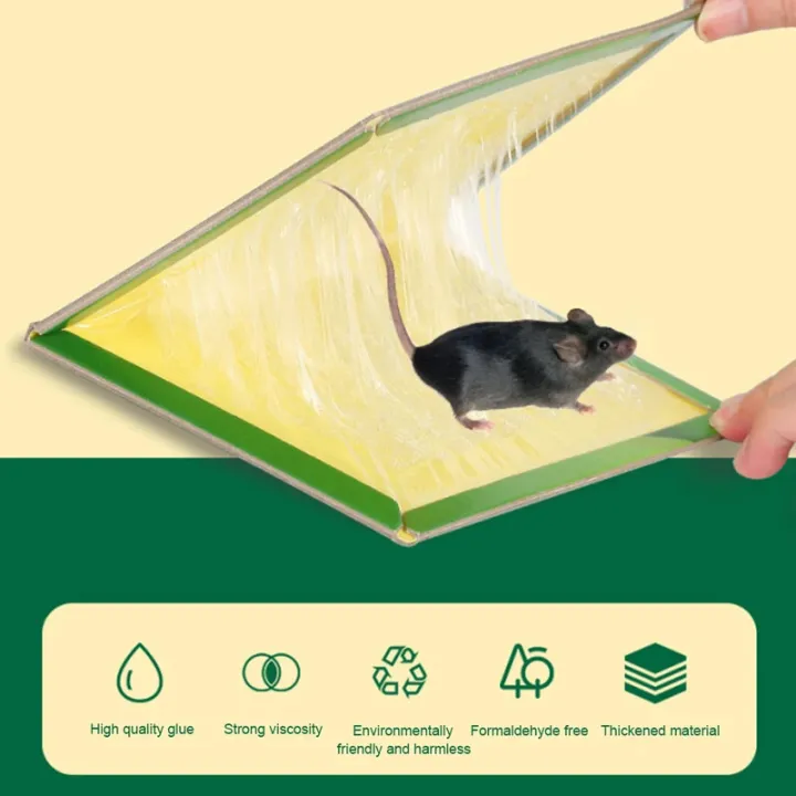 Indoor%20Strong%20Adhesive%20Mouse%20Traps125Non-toxic%20Eco-friendly%20High-efficiency%20Mouse%20Trap%20Cockroach%20Killer%20Insect%20Killer%20Sticker%20Ho%20-%20Image%205
