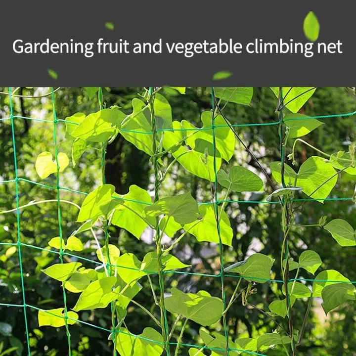 High-quality%20Garden%20Climbing%20Netting%20Strong%20Nylon%20Plant%20Trellis%20for%20Climbing%20Plants%20Loofah%20Morning%20Glory%20Flowers%20Cucumber%20Vine%20-%20Image%205