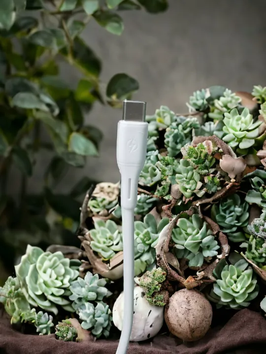 HG%2022W%20FAST%20CHARGER%20WITH%20TYPE-C%20CABLE%20-%20Image%205