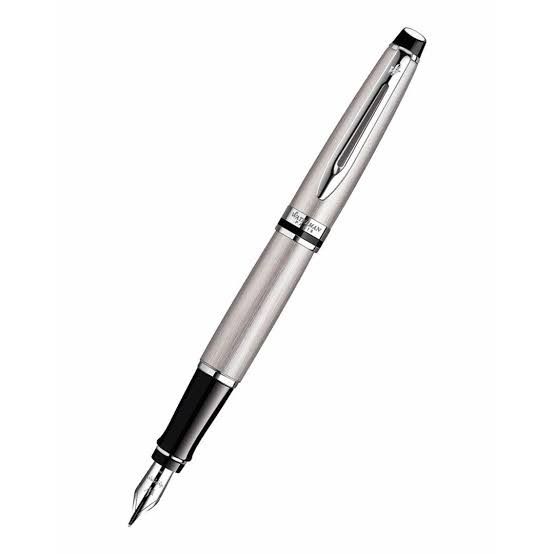 Expert watermen III SS Fountain Pen