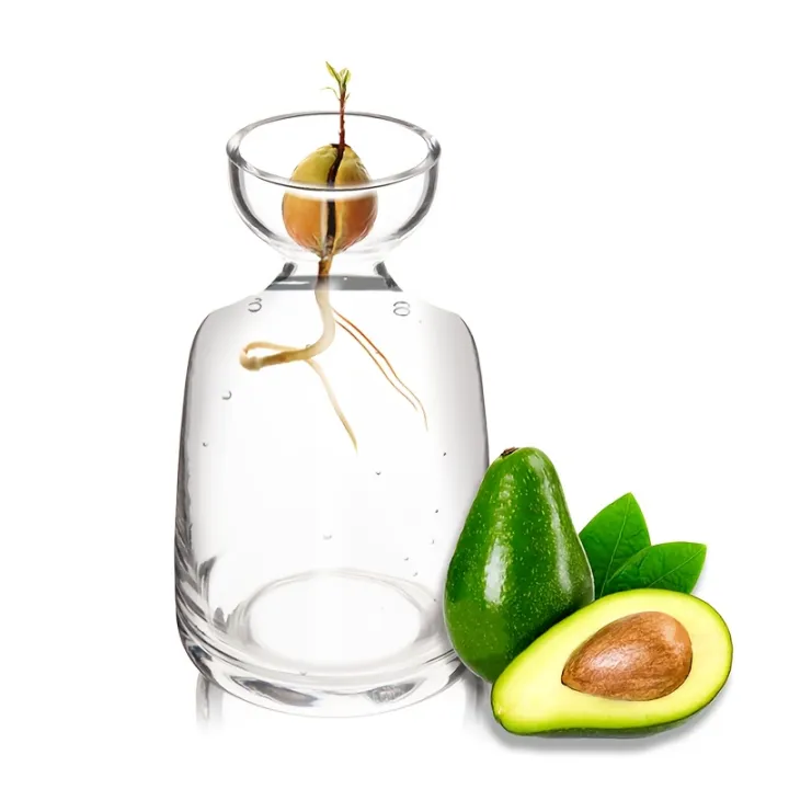 Two-piece%20Avocado%20Seed%20Starter%20Vase%20-%20Grow%20Your%20Own%20Avocado%20Tree%20Unique%20Glass%20Planting%20Pot%20for%20Gardening%20Lovers%20Start%20Your%20Green%20-%20Image%202