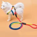 Durable Nylon Rainbow 1.2M Pet Cat Leash Walking Training Leash. 