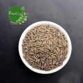 Cumin Seeds /Safed Jeera indian spice 50Gram. 