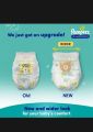 Pampers Diapers for Baby Pants Large 36 pcs for 9 to 14 kg Weight Baby. 