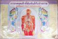 Massage foot reflexology poster 32 inches Width 22 inches height rectangle. 