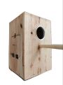 Standard Breeding Box double door for Budgies, Finches and Canaries Bird cage wooden. 