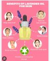 Lavender Aromatherapy Essential Oil (10 ml)  – Pakistan Essential Lavender Oil 100% Pure & Natural – Undiluted Lavender Aromatherapy Essential Oil (10 ml) – Rose And Lily Collection  Lavender Oil 100% Pure & Natural – Undiluted. 
