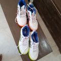 DSC CRICKET SHOE. 