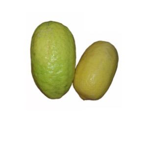 lemon%201kg%20%E0%B6%BD%E0%B7%99%E0%B6%B8%E0%B6%B1%E0%B7%8A%20%E0%B6%AF%E0%B7%99%E0%B7%84%E0%B7%92%20%E0%AE%8E%E0%AE%B2%E0%AF%81%E0%AE%AE%E0%AE%BF%E0%AE%9A%E0%AF%8D%E0%AE%9A%E0%AF%88%20-%20Image%202